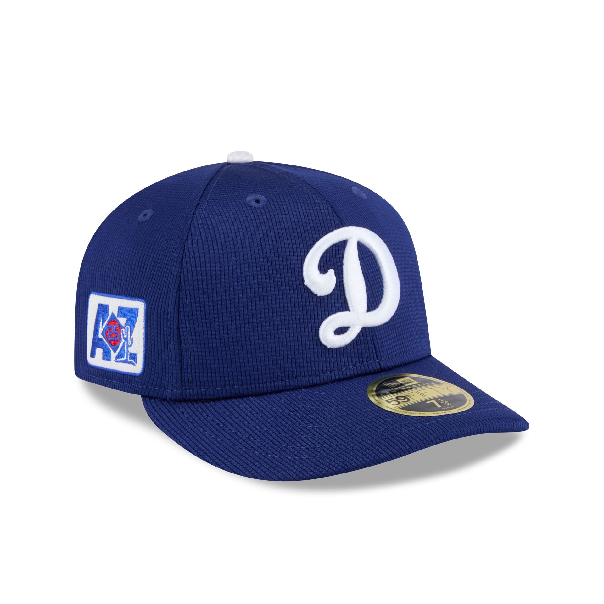 Los Angeles Dodgers 2025 Spring Training Low Profile 59FIFTY Fitted Ha