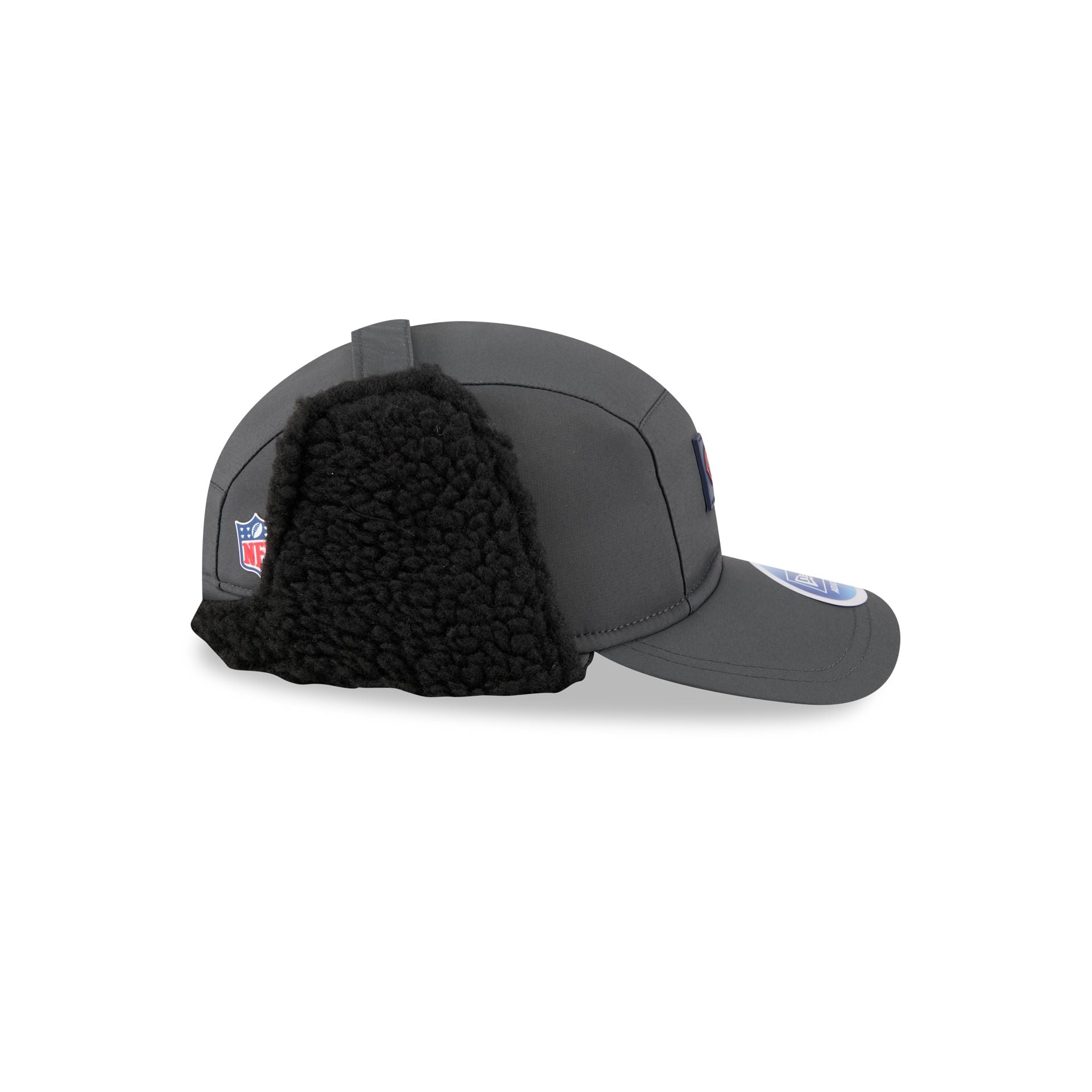 60731394_RUNNER_NFL25SLCWRNNRDOGCHIBEACSTCOTC_CHIBEA_CSTCOTC_RSIDE