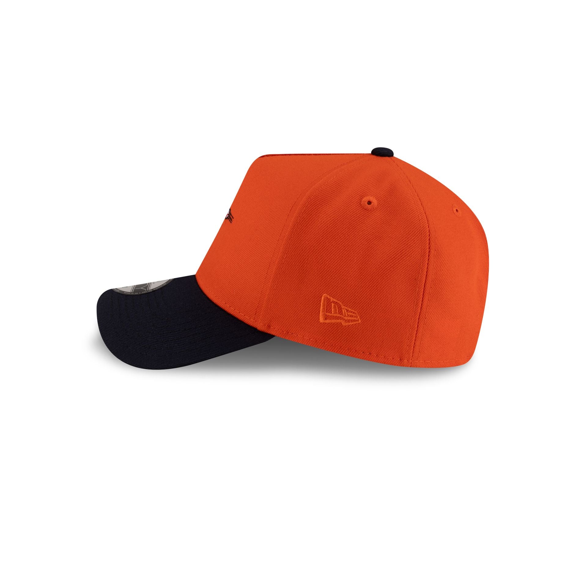 70931209_9FORTYAFRAME_MLBMASCOT_25_HOUASTCO_ORG_LSIDE