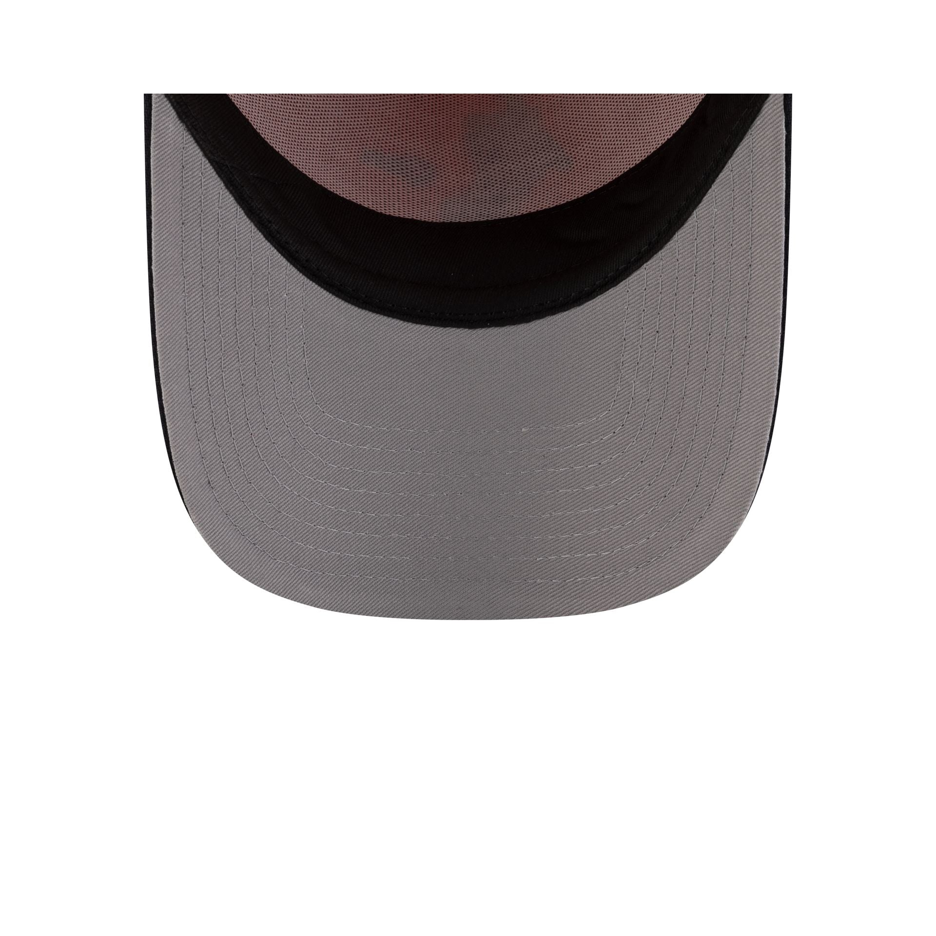 70931209_9FORTYAFRAME_MLBMASCOT_25_HOUASTCO_ORG_UV