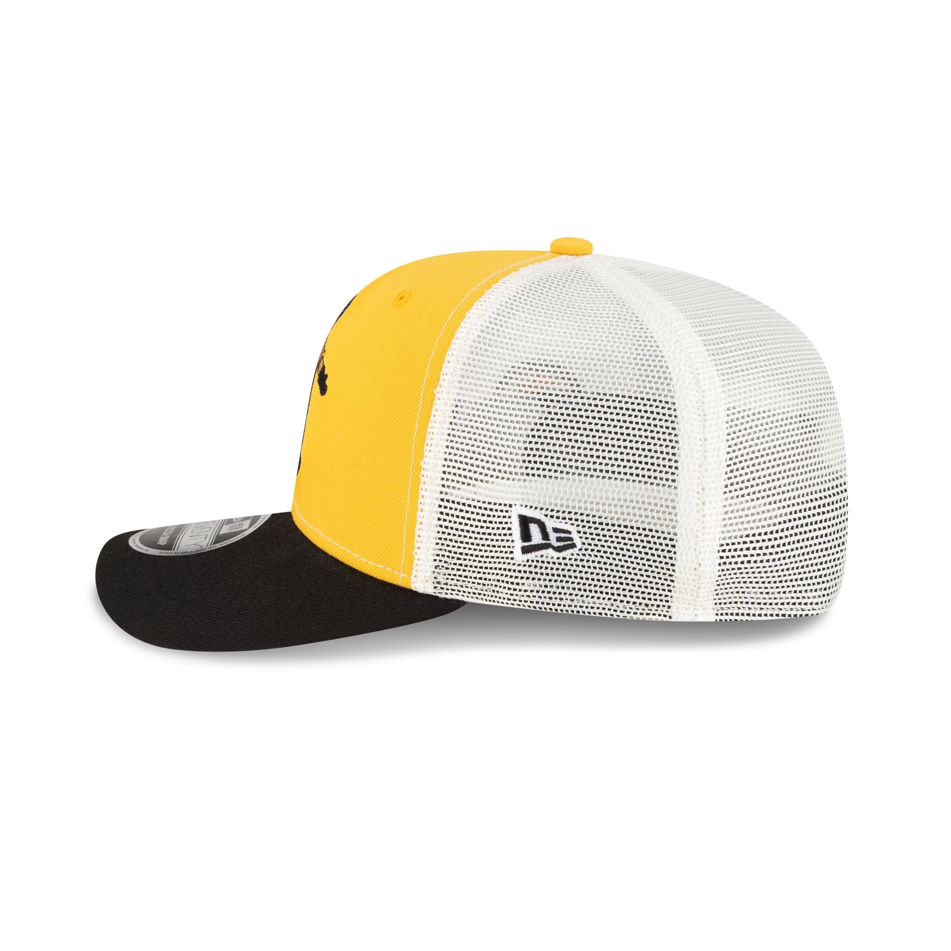 70988587_9SEVENTY_NFL25_MASCOTS_PITSTE_BLACK_LSIDE