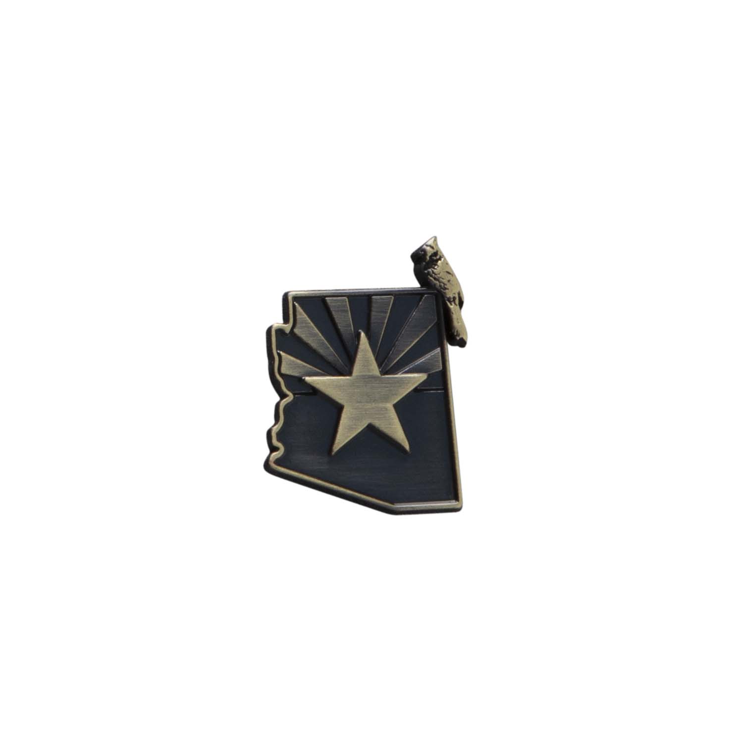 NEC_NFL25_DRAFT25_PIN_FRONT_ARICAR-1
